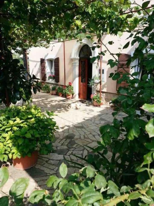 New Renovated Appartment Mauri Poreč Exteriér fotografie